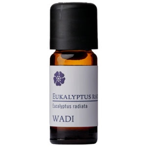 WADI Eukalyptus radiata, 10 ml, bio
