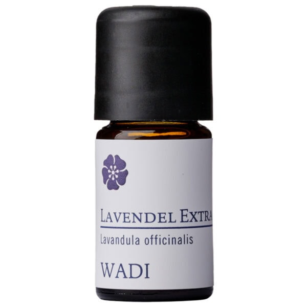 WADI Lavendel Extra (Berglavendel), 5 ml, Wildsammlung